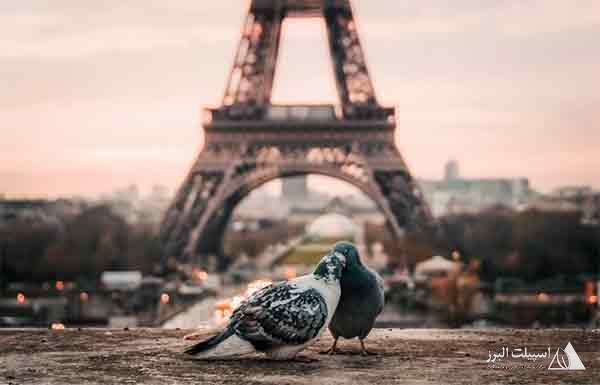 برج ایفل پاریس، فرانسه
